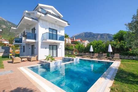 Modern Villa with Private Pool and Private Garden, Intertwined with Nature in Fethiye Ovacık