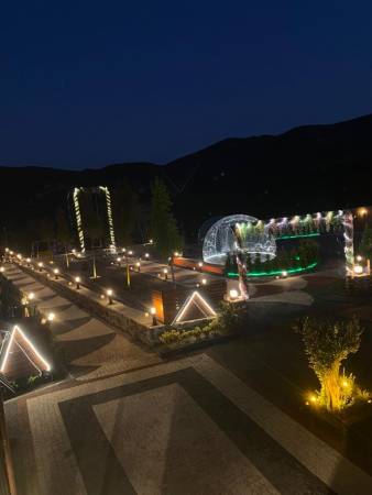 night view