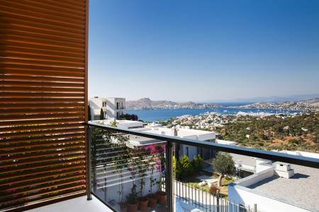 terrace