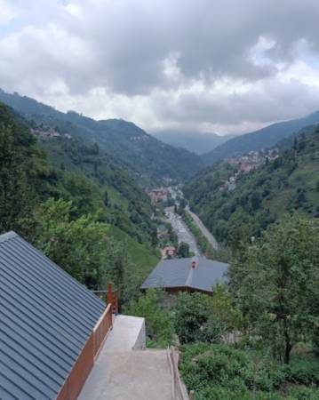 manzara