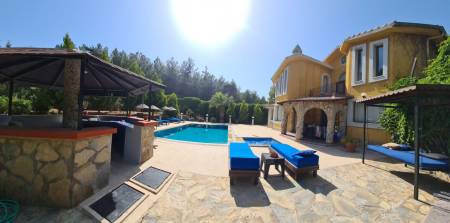 Spacious Villa with Private Pool and Private Garden, Fireplace, in a Lush Green Pine Forest in Bodrum Guvercinlik